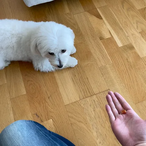Leave it